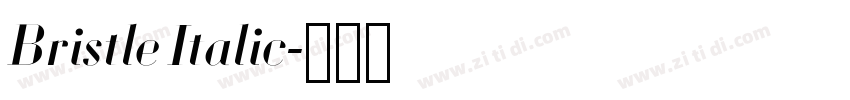 Bristle Italic字体转换 Bristle Italic字体转换